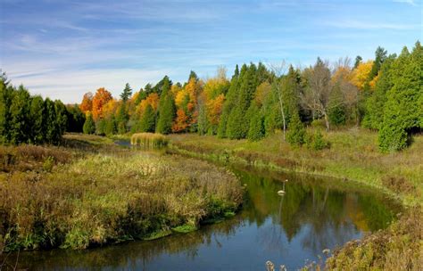 Silver Creek Ontarios Conservation Areas