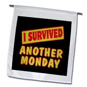 I Survived Monday Quotes. QuotesGram