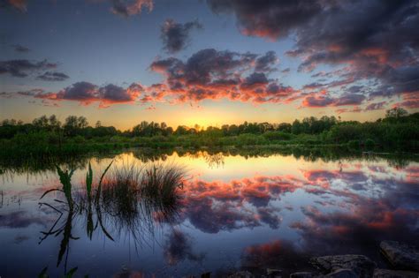 swamp reflection wallpaper nature  landscape wallpaper