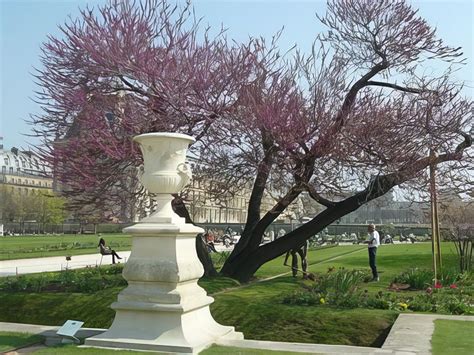 Top Des Meilleures Photos De Voyage Jardin Des Tuileries