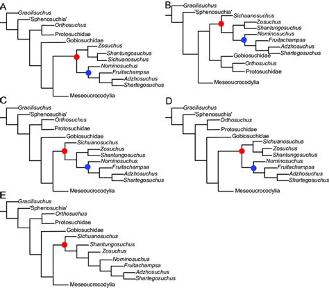 The Five Most Parsimonious Trees From The Analyses Length 897 Red Download Scientific