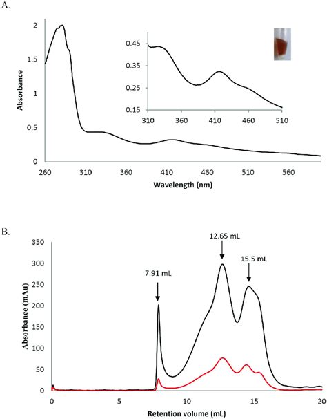 The Recombinant Pdi A Binds An Fe S Cluster A Uv Visible Absorption