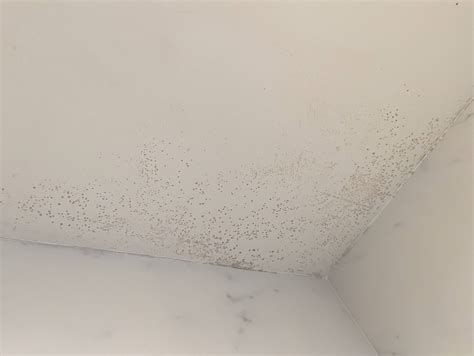 Is this mold/mildew? Is it a concern? (Bathroom Shower Ceiling) - Home