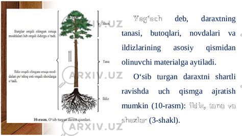 Yogoch tabiiy konstruksion material sifatida 5 sinf Техника и