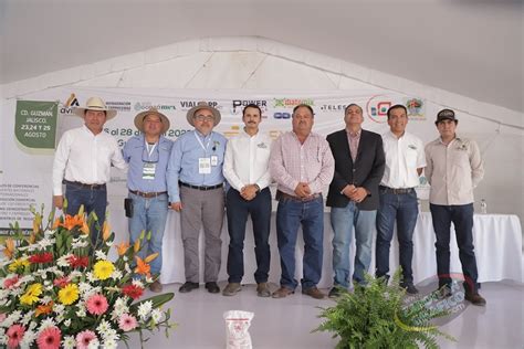 Congreso Del Aguacate Jalisco Presentaci N Oficial Apeajal