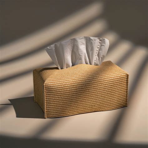 Snapklik Oletha Aesthetic Rectangle Tissue Box Cover Fits