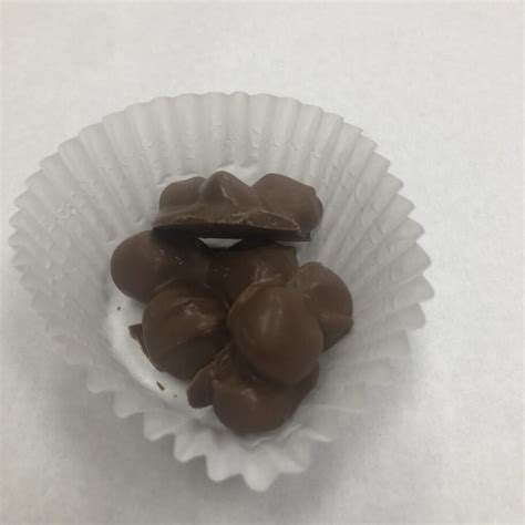 Macadamia Nut Clusters Milk Chocolate Newberry Candy