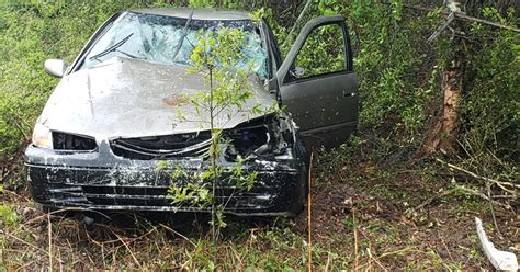 Driver Flees Scene After Crashing Into Tree On Highway 29