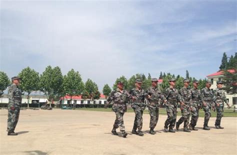 寧海街道開展應急民兵大練兵活動 每日頭條