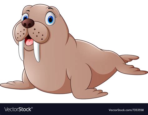 Cartoon Cute Walrus Royalty Free Vector Image Vectorstock