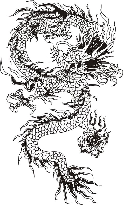 T-shirt Chinese dragon - Chinese dragon wireframes png download - 1024* ...