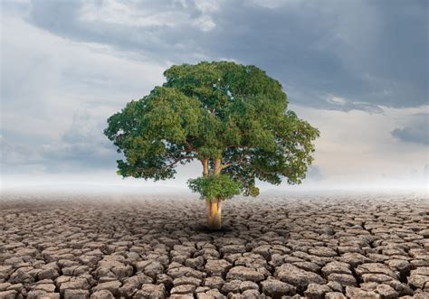 La Alianza Médica Contra el Cambio Climático cumple dos años de trabajo