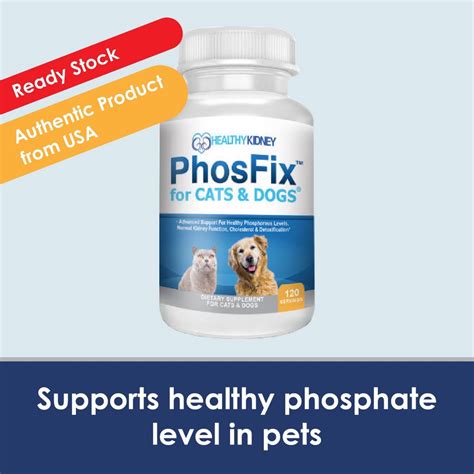 Phosfix For Cats And Dogs Phosphorus Binder And Chitosan To Support