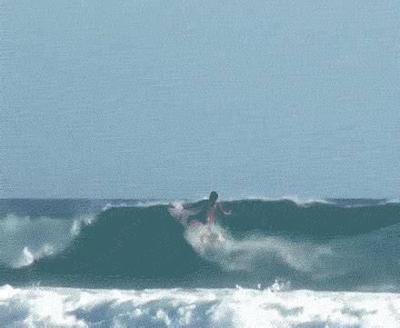 Surfing GIF - Find & Share on GIPHY