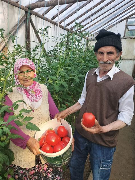 Giresunda Önce Üretim Projesi ilk meyvelerini verdi Norm Haber