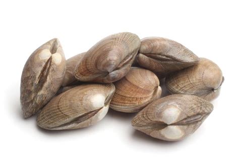 Shellfish Allergy: Symptoms, Diagnosis, and Treatment | Latitude