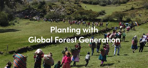 Were Now Supporting Reforestation Projects In South America With Global Forest Generation Ecologi