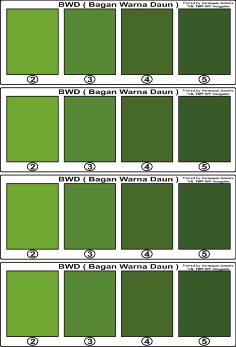 32+ Warna Hijau Daun Tua Paling Modern Dan Nyaman