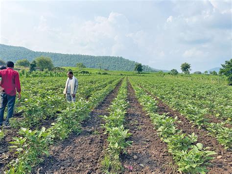 Restore By Use Regenerative Agriculture Can Help Save Water Here Is How