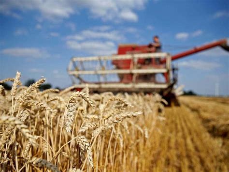 Ukraine Grain Harvest Pc Complete Markets Business Recorder