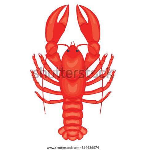 Crayfish Illustration Isolated On White Background Stock Illustration