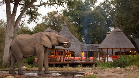 Hoyo Hoyo Safari Lodge Home