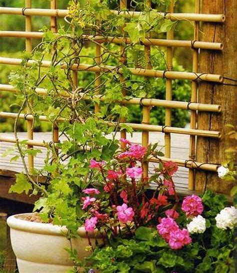 Wonderful Diy Bamboo Trellis Affordable 9 Step Guide