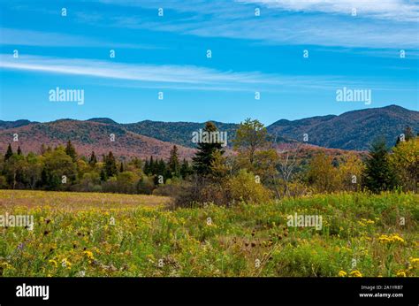 Fall Foliage In The Adirondack Mountains Along The Wilmington Flume