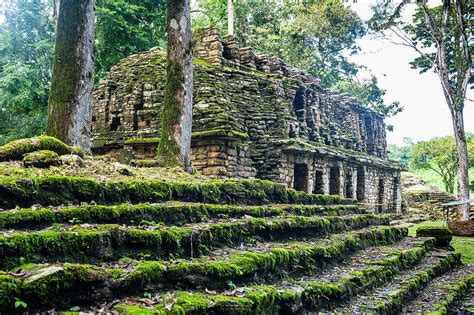 Archaeological Maya Site Of Yaxchilan In License Image 71367477