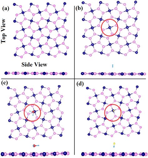 Side And Top View Of The A Bare Penta Pdas2 Monolayer And After Gas Download Scientific