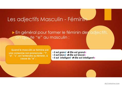 Adjectifs au féminin English ESL powerpoints