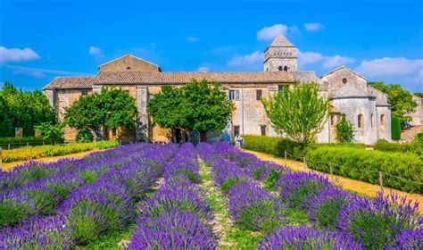 Visit Saint Remy De Provence On A Day Trip From Avignon