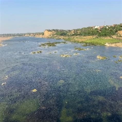 Biwi Ne Lund Ko Hilaya Kiya Blowjob Wet And Messy Porn Feat Arti Mishra Xhamster