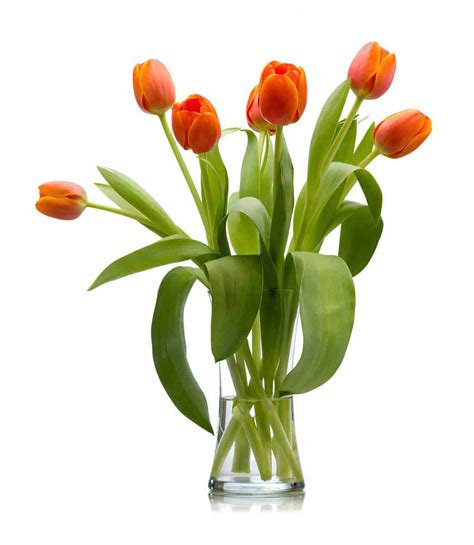 40 Stunning Tulip Arrangement Ideas