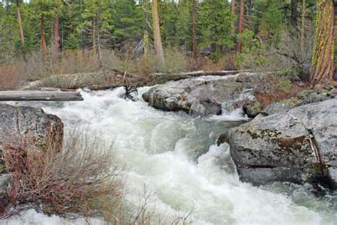 Stanislaus River Fishing Dave S Sierra Fishing