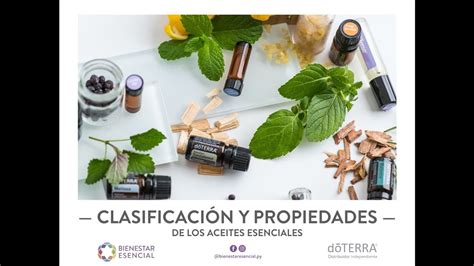 Clasificar Los Aceites Esenciales Doterra Youtube