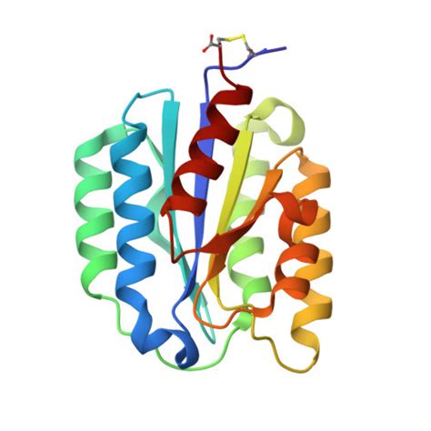 Rcsb Pdb 1shu Crystal Structure Of The Von Willebrand Factor A