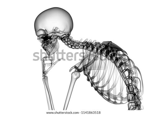 X Ray Human Body 3d Render Stock Illustration 1141863518 Shutterstock