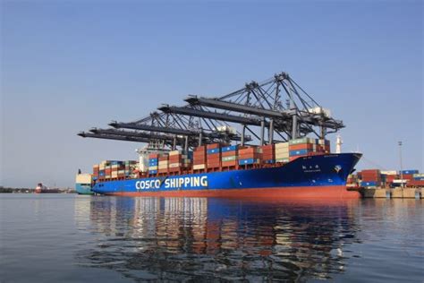 Puerto de Lázaro Cárdenas recibe nuevo servicio WSA5 de Cosco Shipping