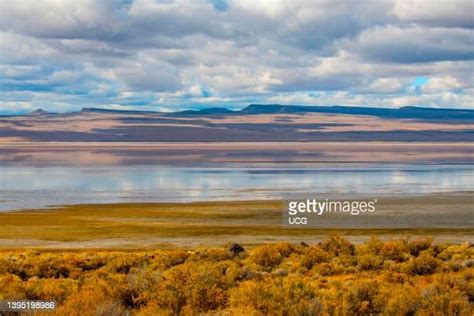 25 Alkali Lake (Oregon) Stock Photos, High-Res Pictures, and Images ...