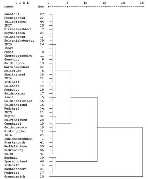 Unweighted Pair Group Method Analysis Upgma Dendrogram For The 43