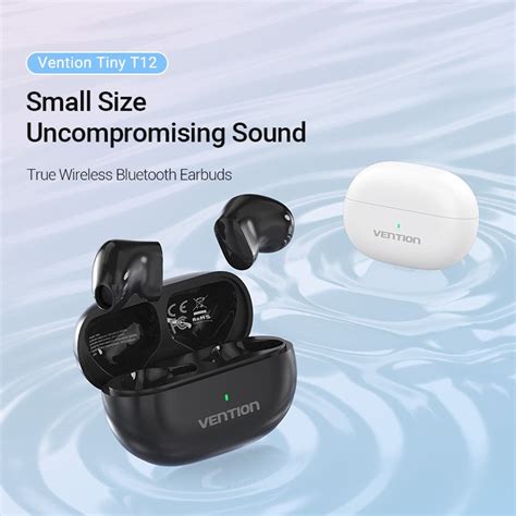 True Wireless Bluetooth Earbuds