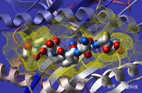 分子对接在药理学中的应用 知乎