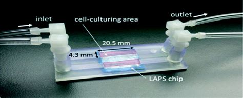 3D Printed Microfluidic Devices Enablers And Barriers Lab On A Chip