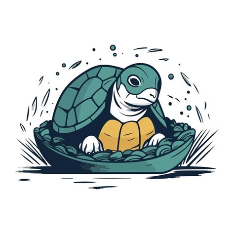 Premium Vector | Turtle in the shell Vector illustration on a white ...