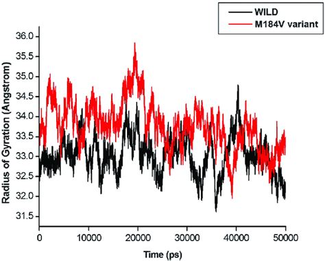 Radius Of Gyration Of C Alpha Atoms Of Native Wild Type And M V