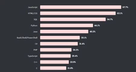 Lenguajes De Programaci N Los M S Populares Y Mejor Pagados En