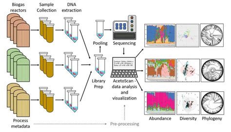 Diagrammatic Visualisation Of The Microbiological Surveillance Carried