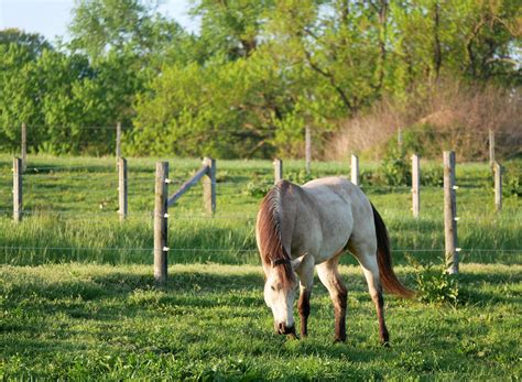 Hidden View Stables added a new photo. - Hidden View Stables