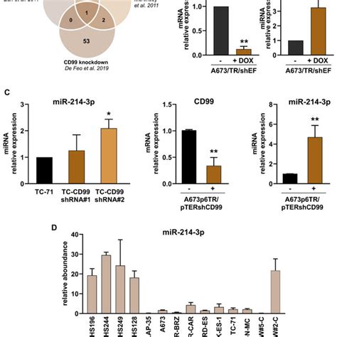 MiR 214 3p Expression In Clinical Specimens MiR 214 3p Expression